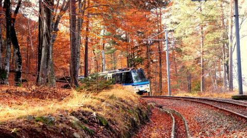 treno centovalli